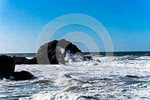 Heart in the rock - San Francisco. summer , cloud , rock , sea, plant.