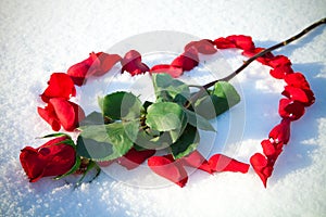 Heart from rose-petals