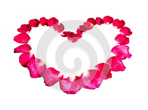 Heart rose petals, Isolated on white background