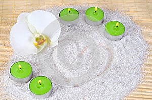 Heart sand candle orchid