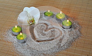 Heart sand candle orchid