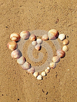 Heart on sand from shells