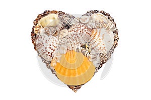 Heart sea shell background. Closeup of seashell heart isolated on a white background. Design element for valentine, wedding,