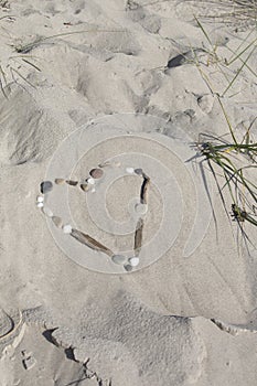 Heart of sea shells and driftwood in the sand