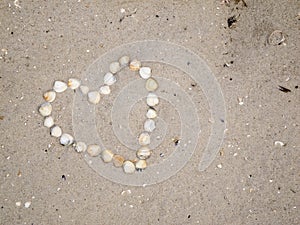 Heart from seashells on the sand photo