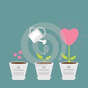 Heart seed, watering can, love plant. Growth concept. Flat design infographic.