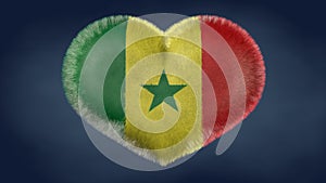 Heart of the Senegal flag. photo