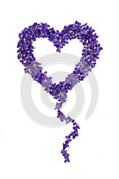 Heart shape balloon flowers. Violets love symbol isolated on white background. Template for greeting card, web design