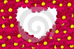 Heart Shape Flower Frame