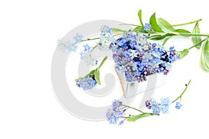 Heart shape with forget-me-not flowers isolated on white