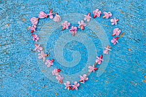 Heart shape formed from daisy flowers on a blue background