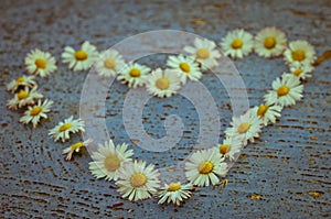 Heart shape formed from daisy flowers on an old texture light bl