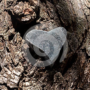 Heart shape of gray pebble stone inlay in the texture of tree bark