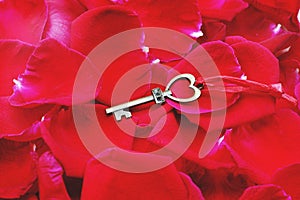 Heart shape key with house keyring on vibrant elegant red petal of rose background, romantic valentine sweet love concept