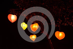 Heart shape lampion lantern at park at night