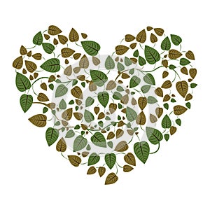 heart shape leaves with creepers