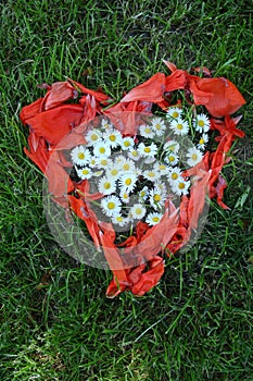 Heart shape made from daisy flowers and poppy leaves