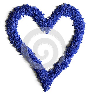 Heart shape made of flowers (cornflowers) on white background