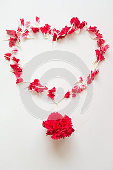 Heart Shape made by red carnation petals