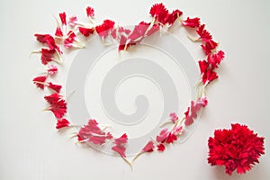 Heart shape made by red carnation petals