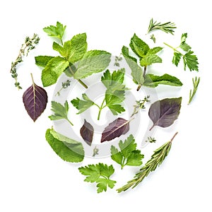 Heart shape made of various fresh herbs on white background