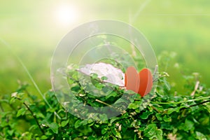 Red heart shape on top of a grass with flare effetcs photo