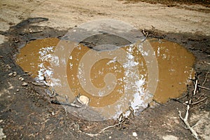 Heart Shape Mud Hole