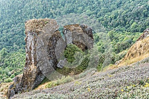 Heart shape rock at Kew Mae Pan nature trail. Doi Inthanon National Park. Chiang Mai, Thailand