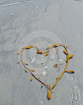 Heart shape on sandy beach