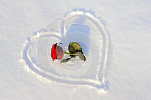 Heart shape scarfed in snow with red rose