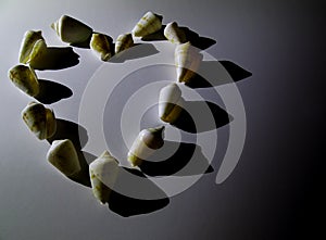 Heart shape of seashells