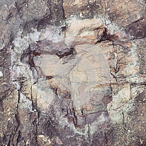 Heart shape on the stone