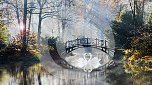 Heart shape of swans love mate for life in scenic view of misty pond autumn romantic landscape with beautiful old bridge in the