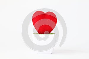 Heart shape tree on white background with copy space