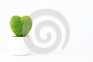 Heart shape tree on white background with copy space
