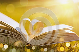Heart shaped bible book on green grass with sunlight and bokeh