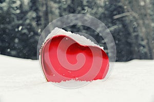 Heart Shaped Box in a Snowy Forest