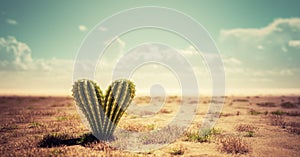 Heart shaped cactus on desert. Concepts of love, feeling lonely, love hurts