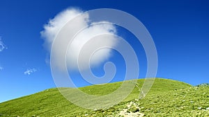 Heart shaped cloud on blue sky