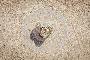 Heart shaped coral on sand, Boracay Island, Philippines