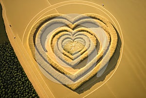 Heart Shaped Crop Circles - Generative AI