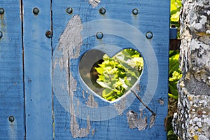 Heart-shaped cutout in an old blue wooden door overlooking a garden