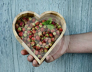 A heart-shaped dish with wild berries in man's hand on wooden background. Valentine's Day gift, dessert
