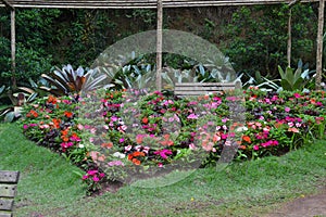 Heart shaped flower garden