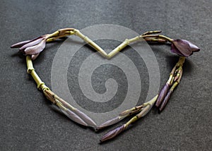 Heart shaped flowers wreath of Frangipani flower buds