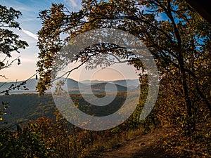 Heart shaped forest opening between trees hills sunset autumn fall colours love romantic relationship and ecology environmental