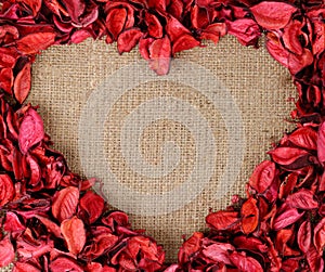 Heart shaped frame made from red petals