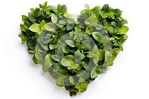 Heart shaped green plant and leaf arrangement on white background love for nature concept