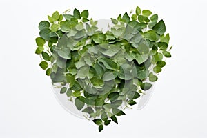 heart shaped green plant and leaf symbol, isolated on white background love for nature concept