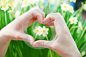 Heart shaped hand around flower